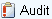 Audit
